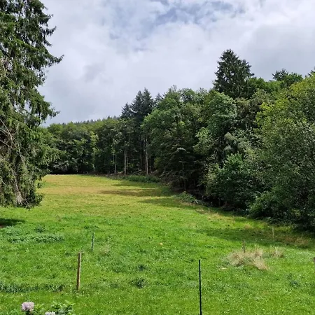 Bellavista Μπάντενβαϊλερ